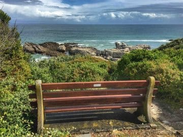 Du-Cap-Agulhas-au-Cap-de-Bonne-Esperance-20