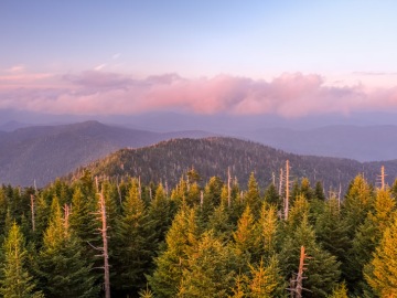 Great-Smoky-Mountains-00031