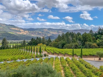 Napa-Valley-29-septembre-au-2-octobre-2018-00009